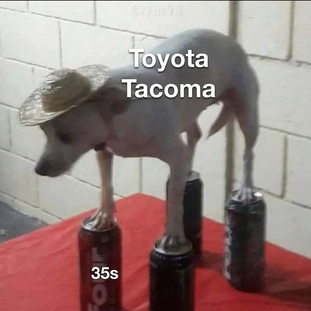 Snapchat-79879305.jpg