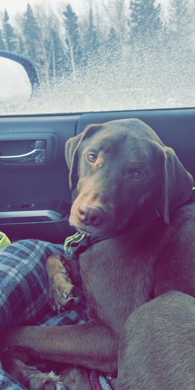Snapchat-963184050.jpg