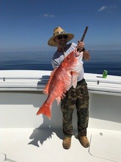 Snapper 1.jpg