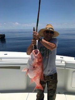 Snapper 2.jpg
