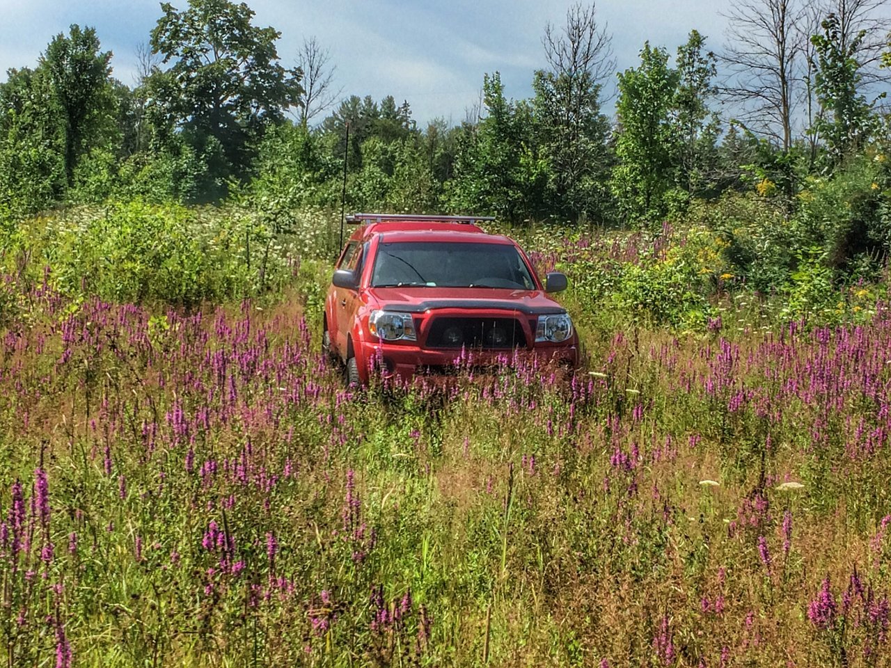 Snapseed.jpg