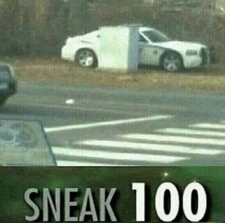 Sneak-100.jpg
