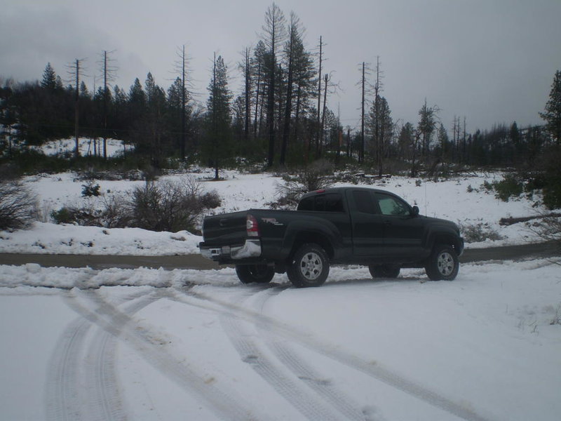 sneaux 010.jpg