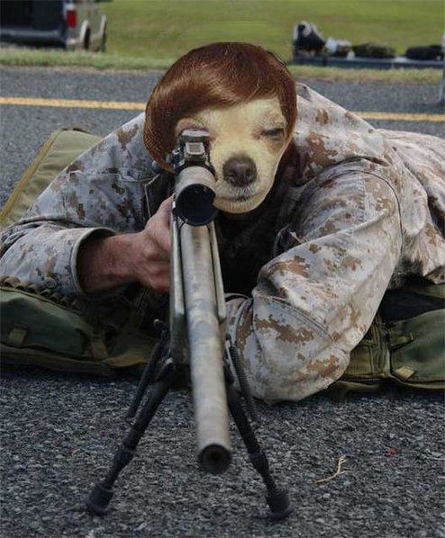 sniper.jpg