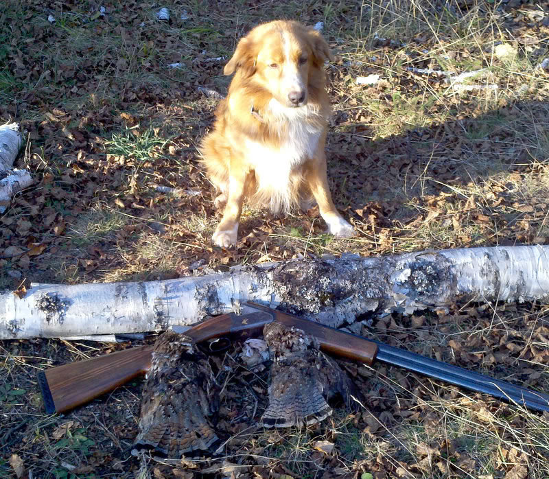 Sniperveronagrouse-1_cbe2ae778328d8398829994a44a9f3413f1bbf7d.jpg