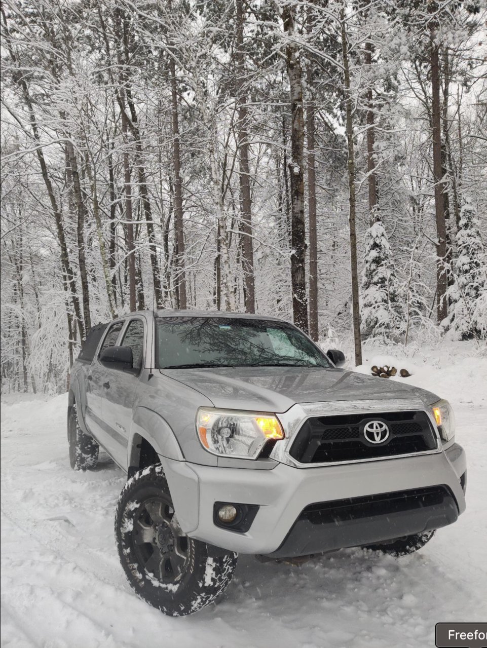Sno Taco.jpg