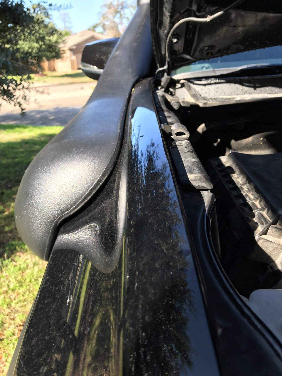 Snorkel 2.jpg