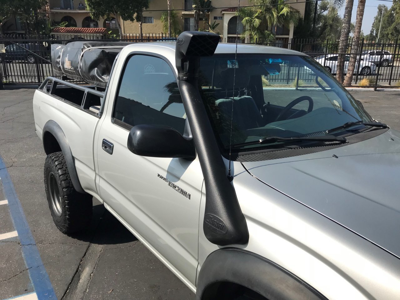 Snorkel1.jpg