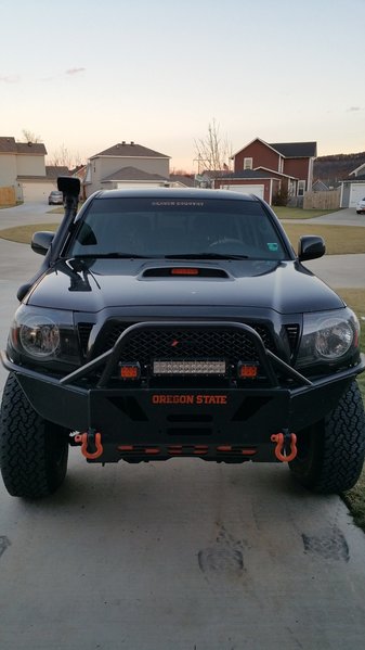 snorkel5.jpg