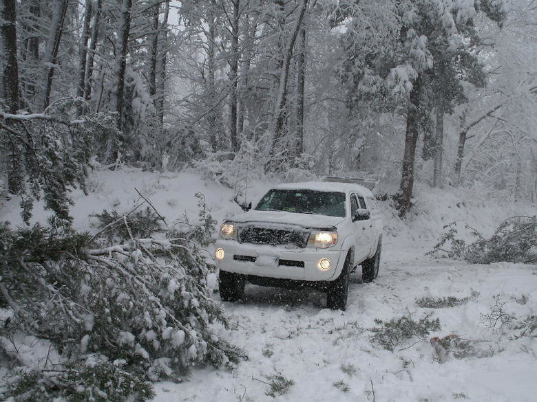 SNOW 004.jpg