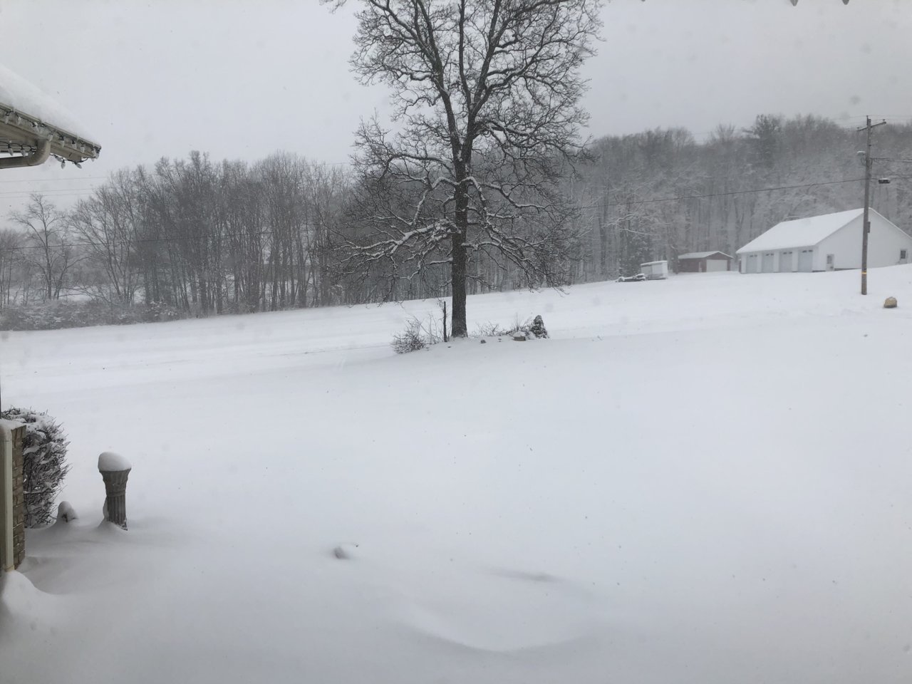 Snow 1-17-22.jpg