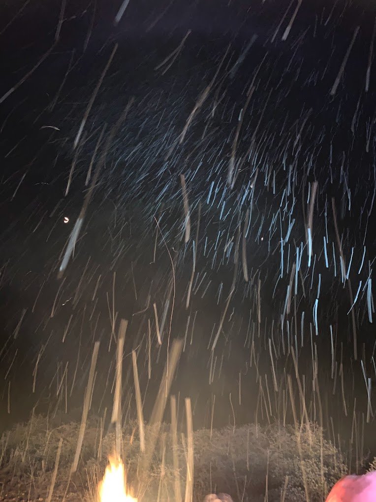 snow 2.jpg