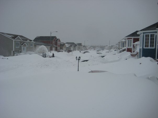 snow 2.jpg