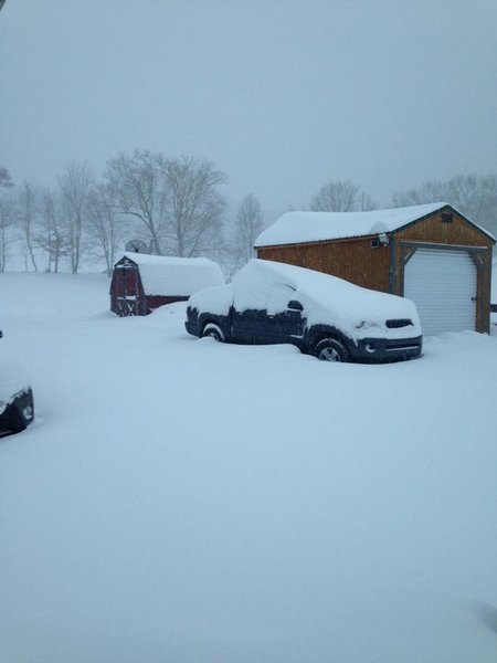 Snow 2016 .jpg