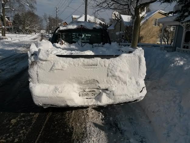 snow%20taco_zps3smqarlx_68e6b65226f3e73ab320e040a72cf32d4cabe48d.jpg