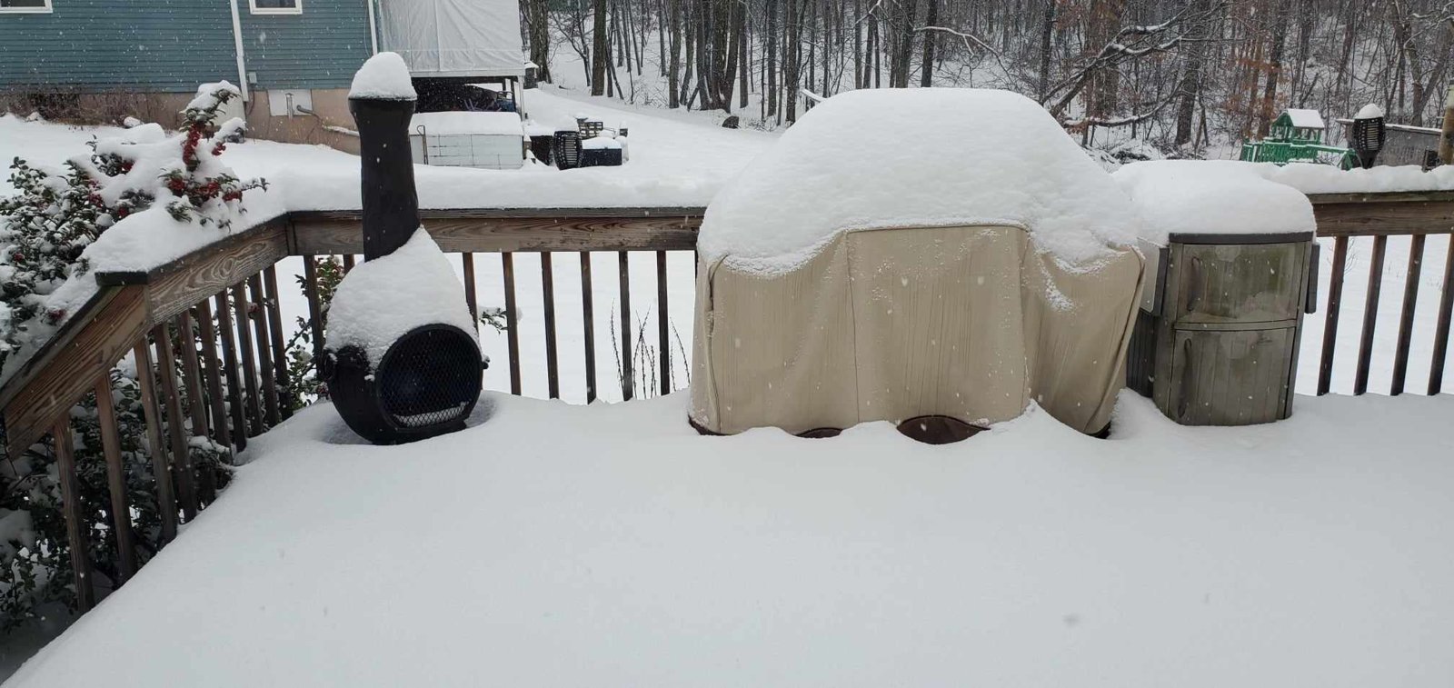Snow 24.jpg