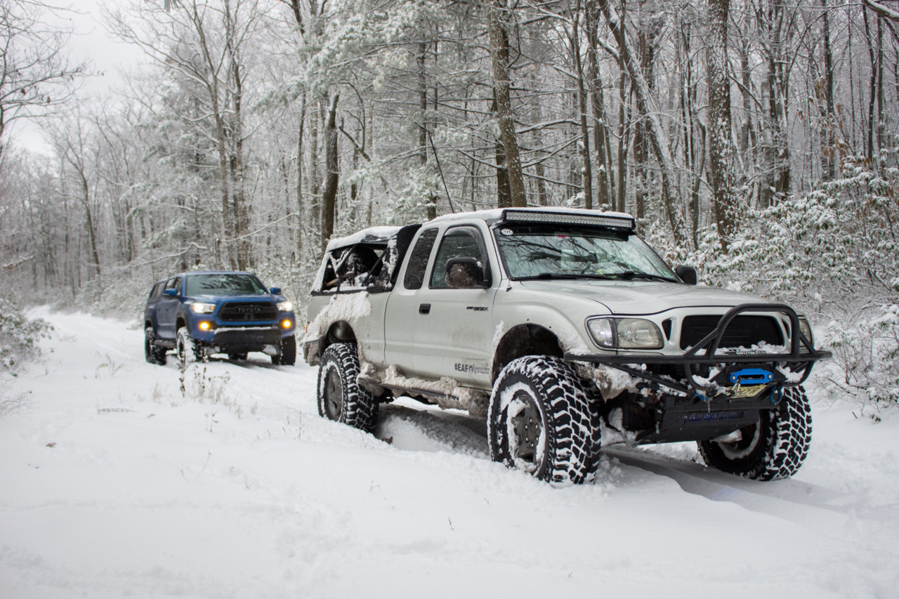 snow 5.jpg