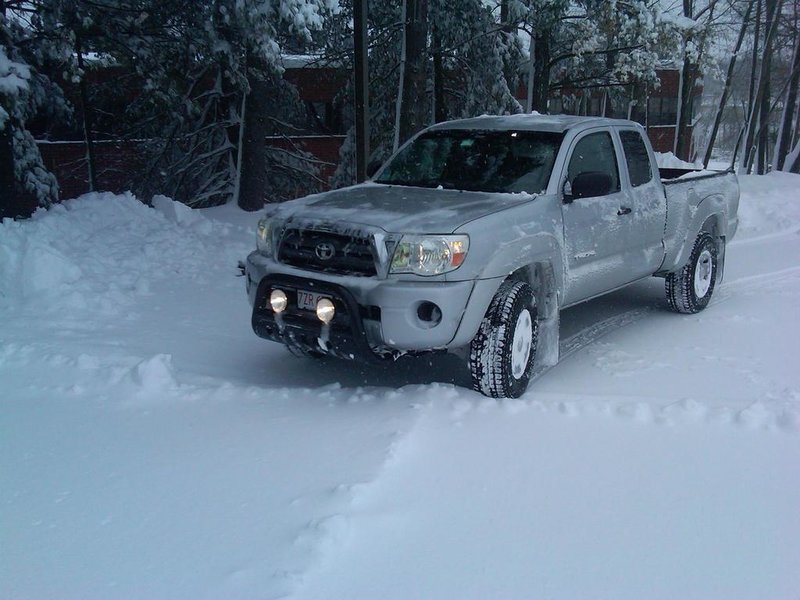 Snow 6.jpg