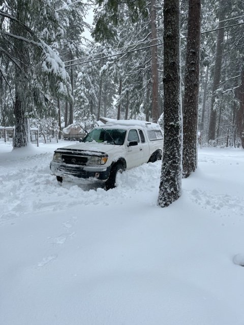 Snow 99.jpg