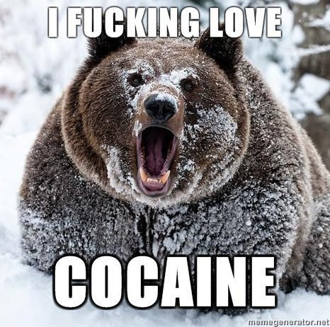 Snow Bear.jpg