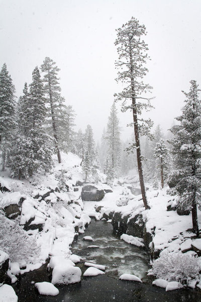 Snow drive to silverfork 4-7-15-7.jpg