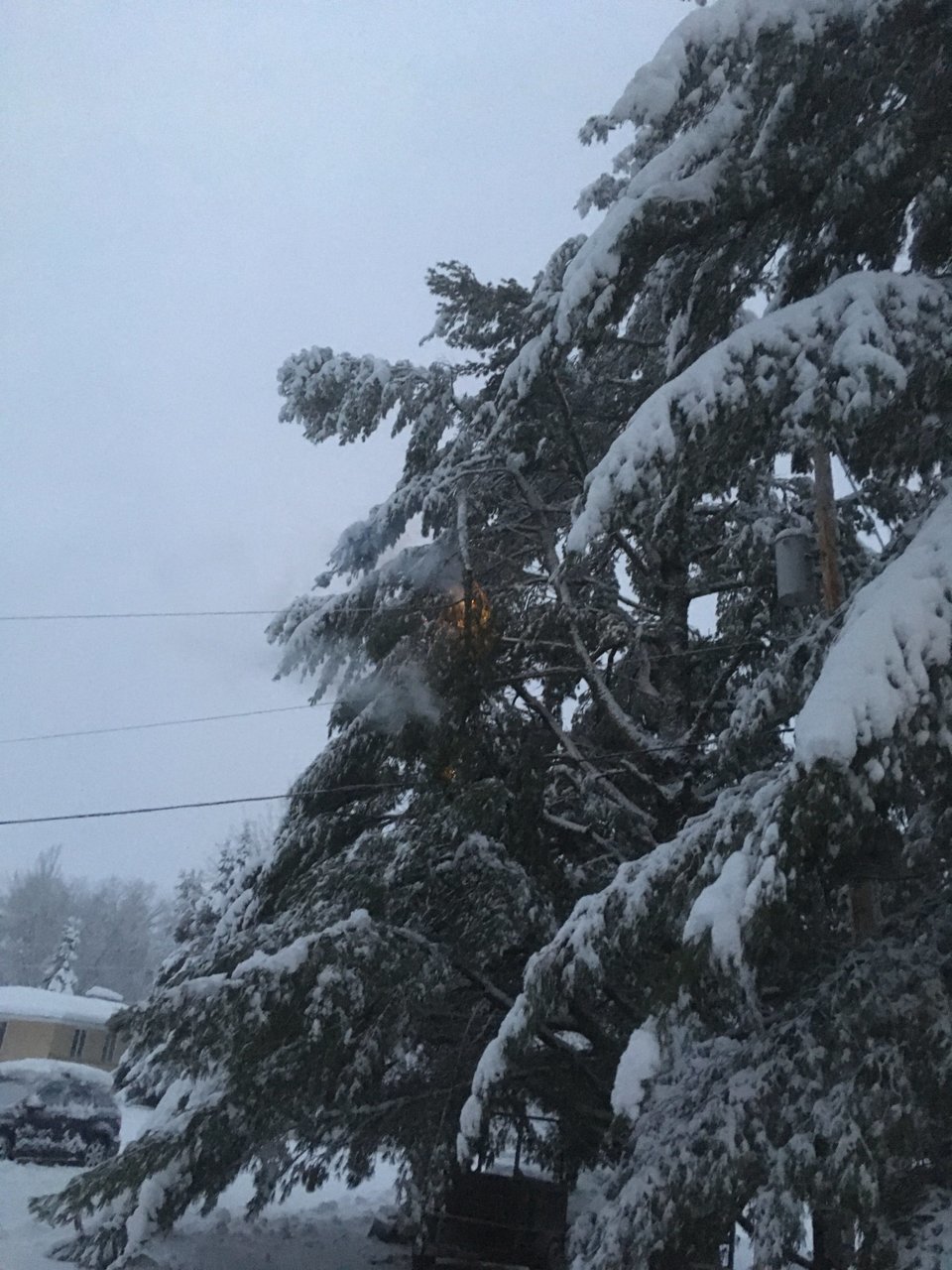 Snow Fire 2.jpg