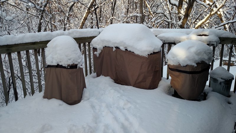snow grills.jpg