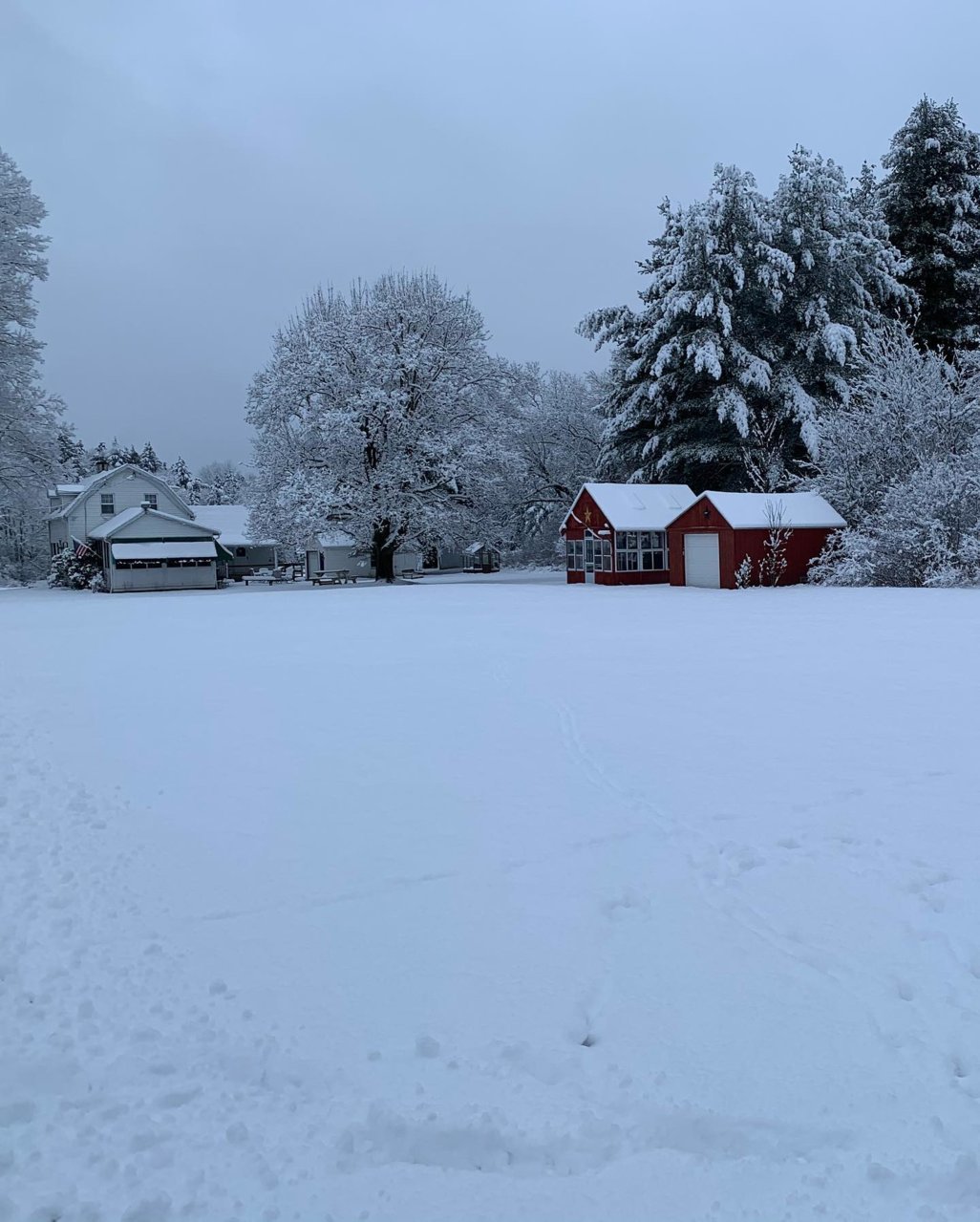 Snow Jan 4 2021 3.jpg