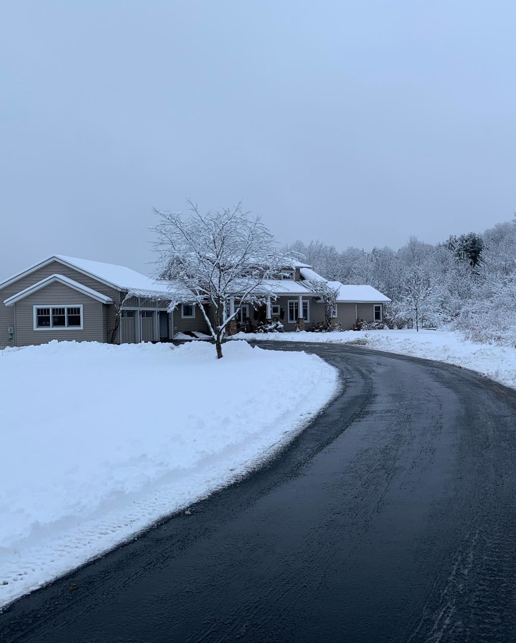 Snow Jan 4 2021 5.jpg