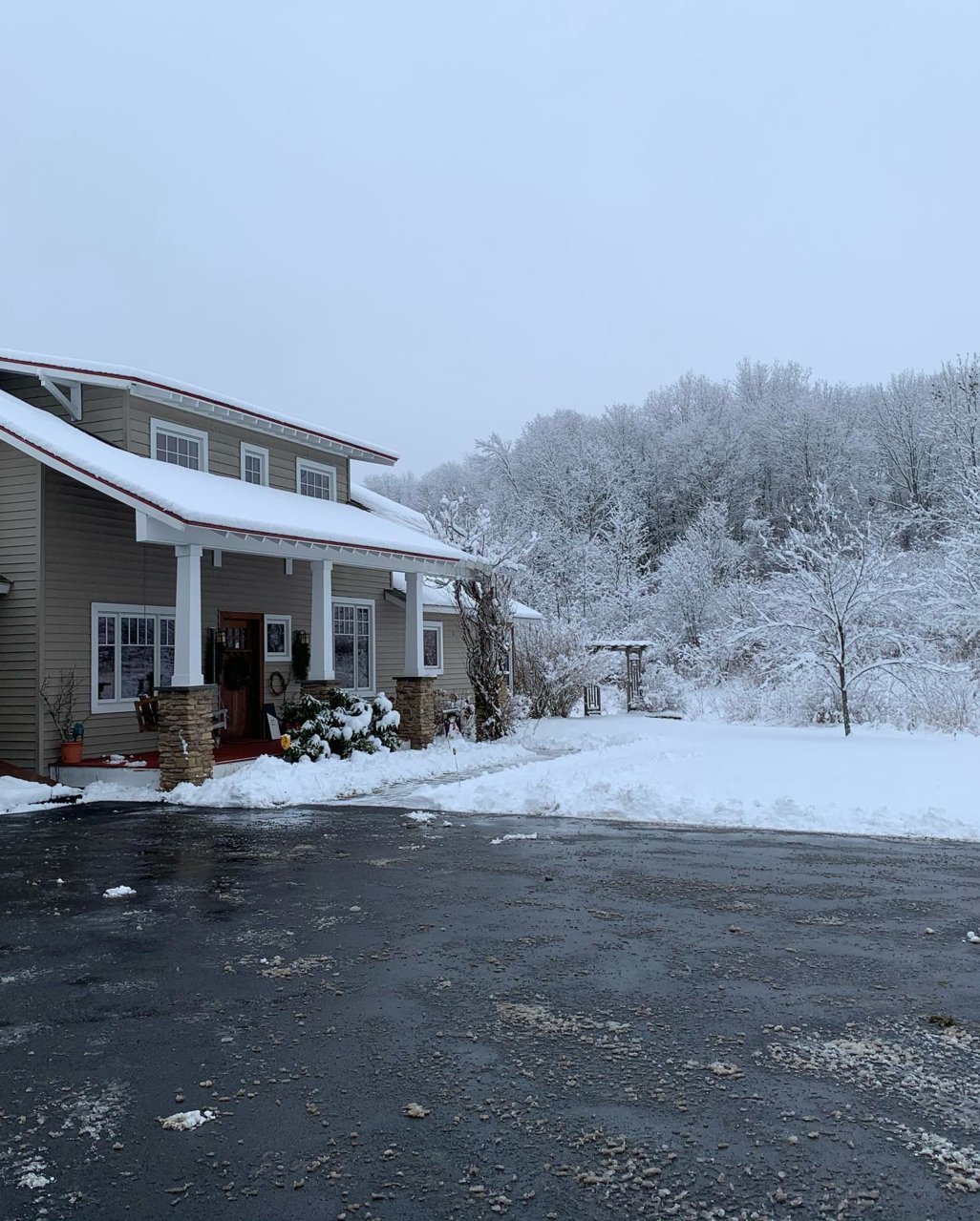 Snow Jan 4 2021 6.jpg