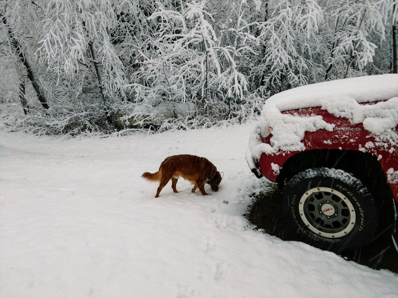 snow.jpg