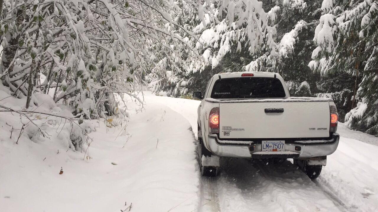 Snow.jpg