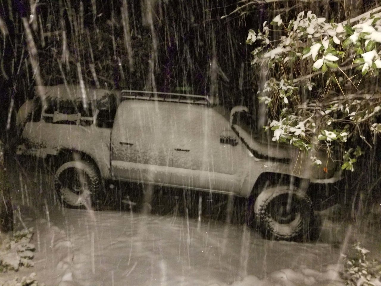 snow.jpg