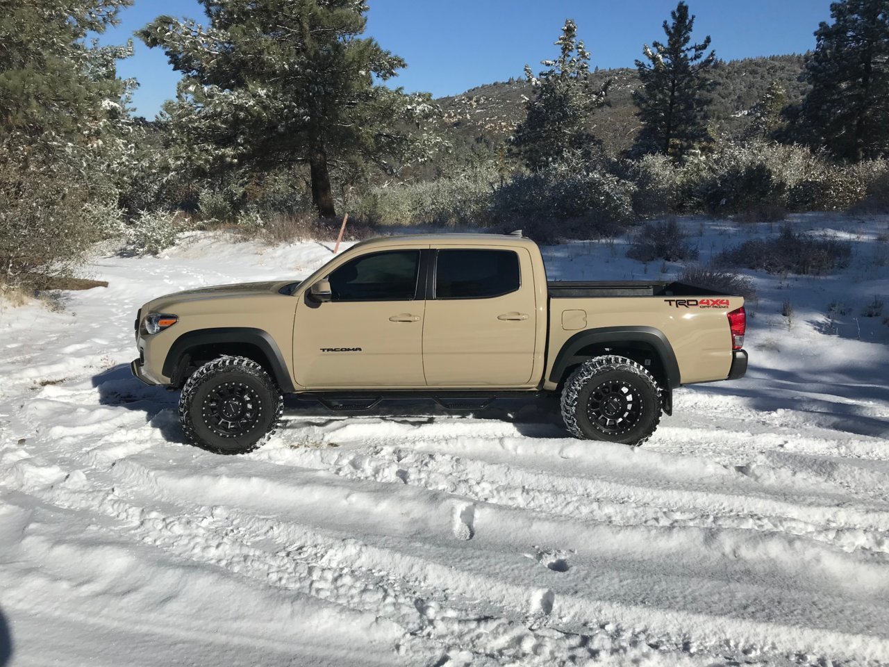 Snow.jpg