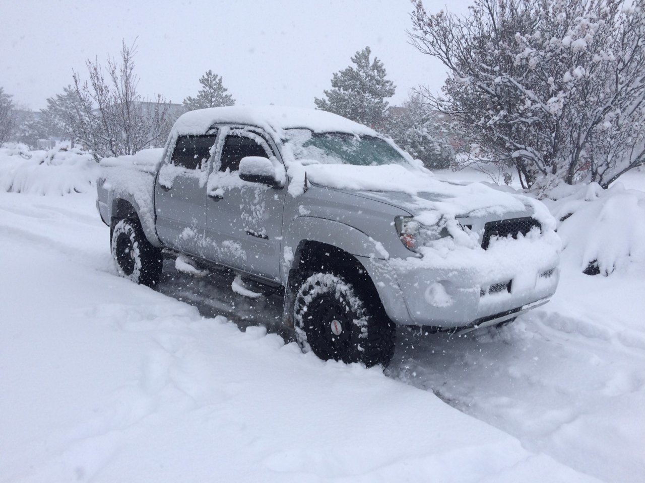 Snow.jpg