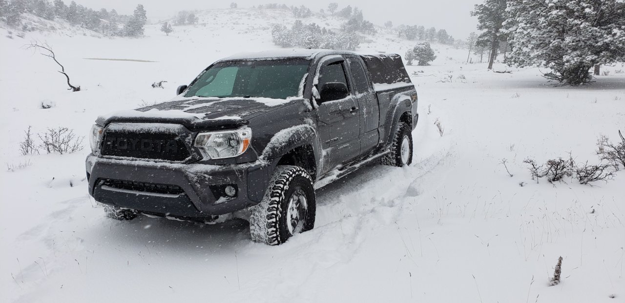 Snow.jpg