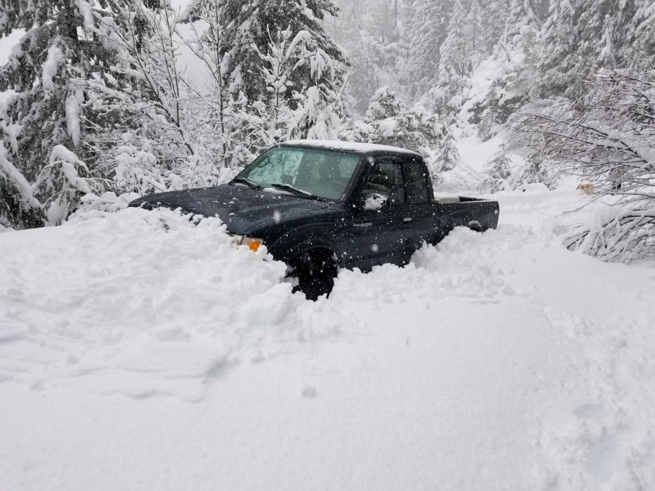 snow.jpg