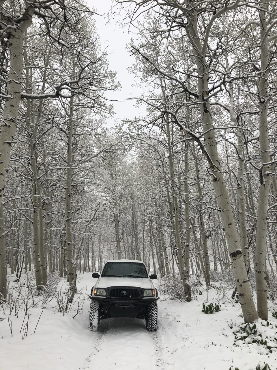 snow.jpg