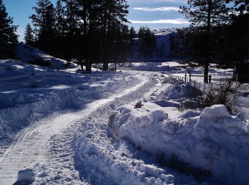 Snow.jpg