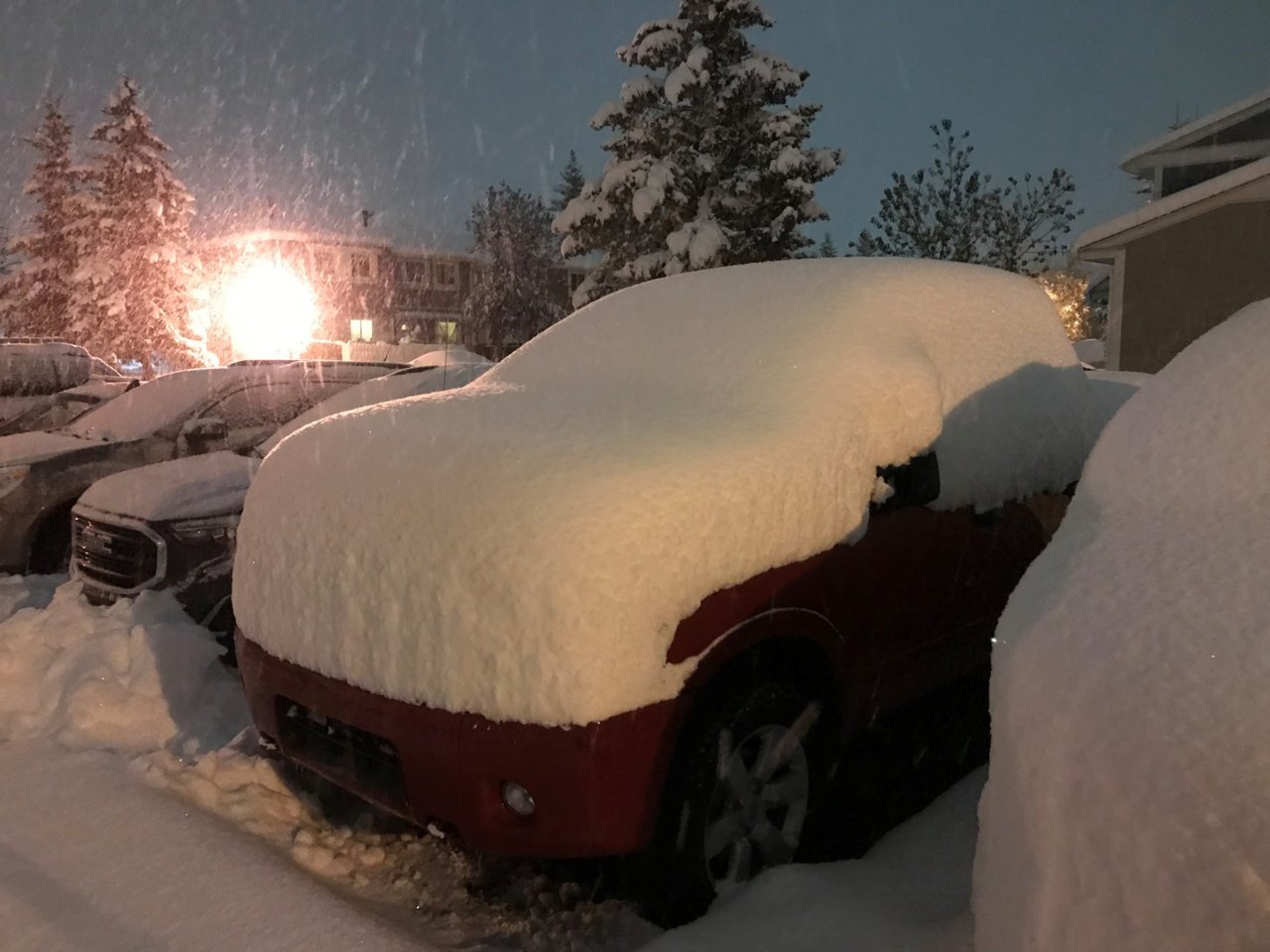 Snow.jpg