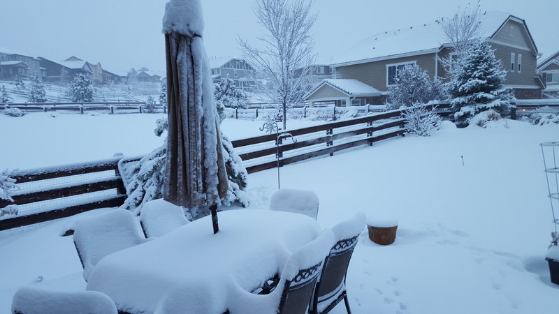 Snow.jpg