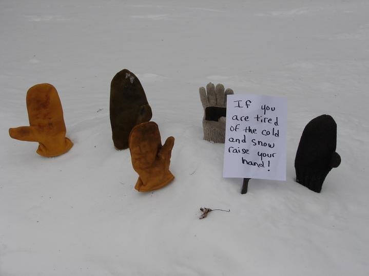 snow.jpg