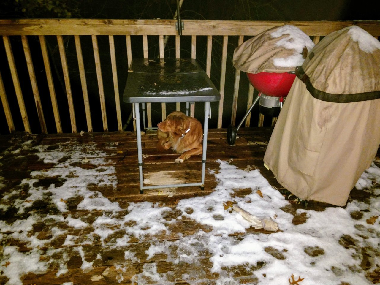 snow melting.jpg