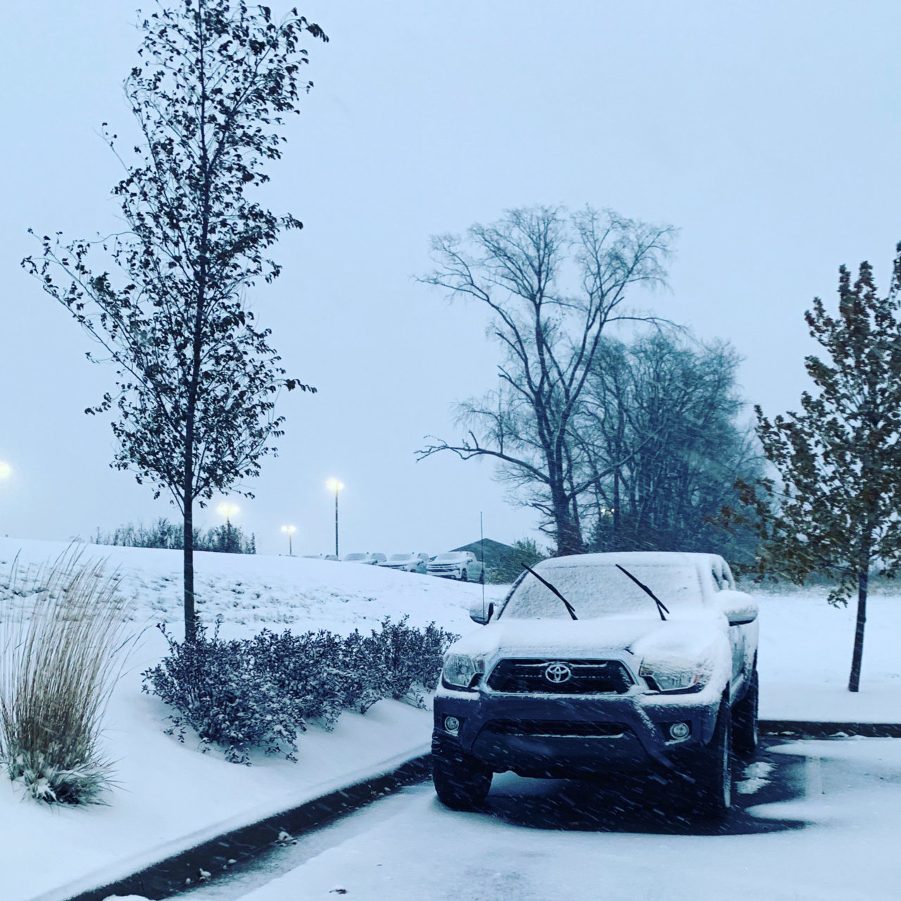 snow nov.jpg