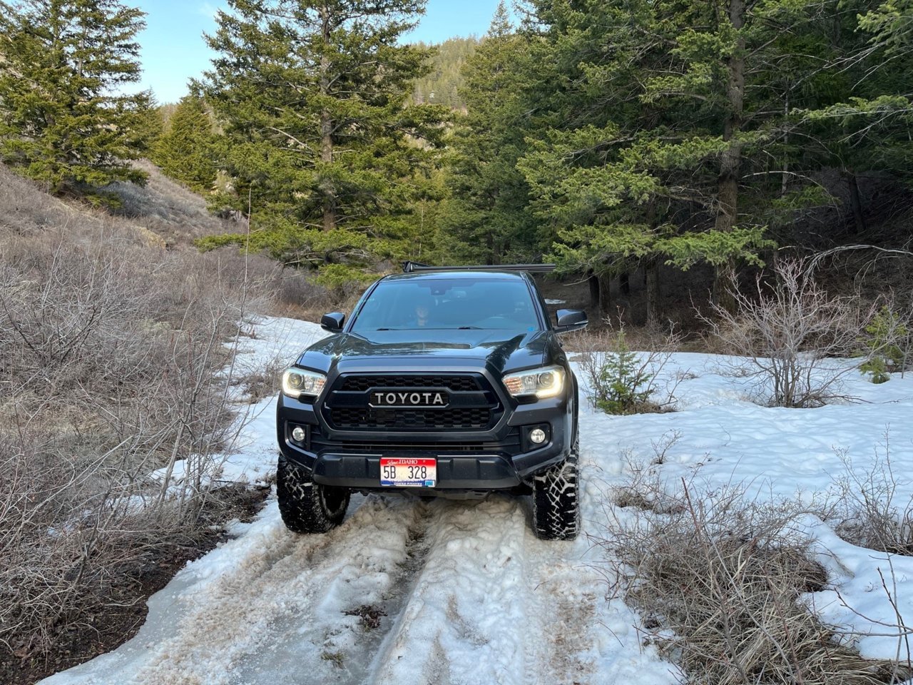 snow on the way home.jpg