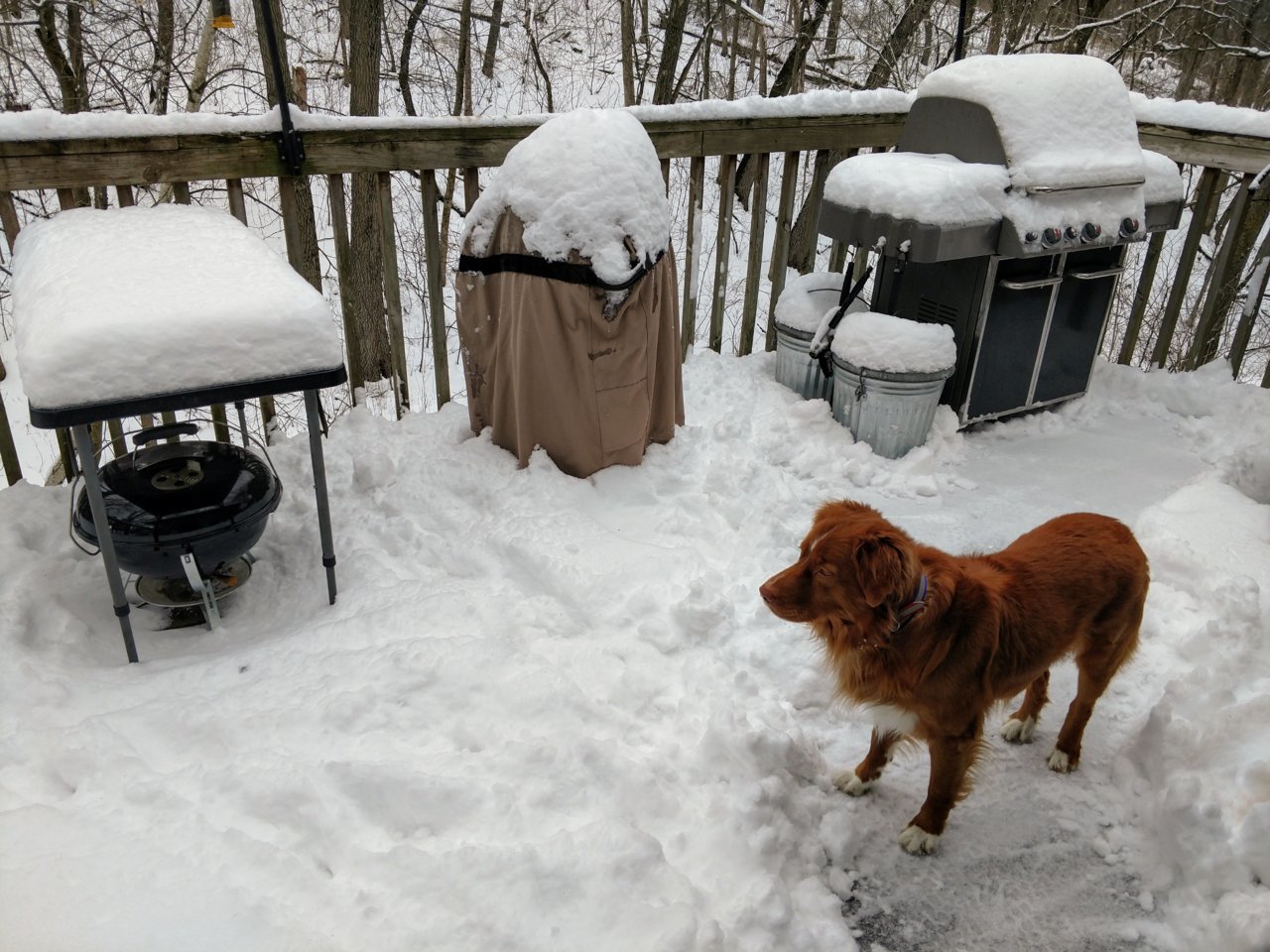 snow path to gasser.jpg