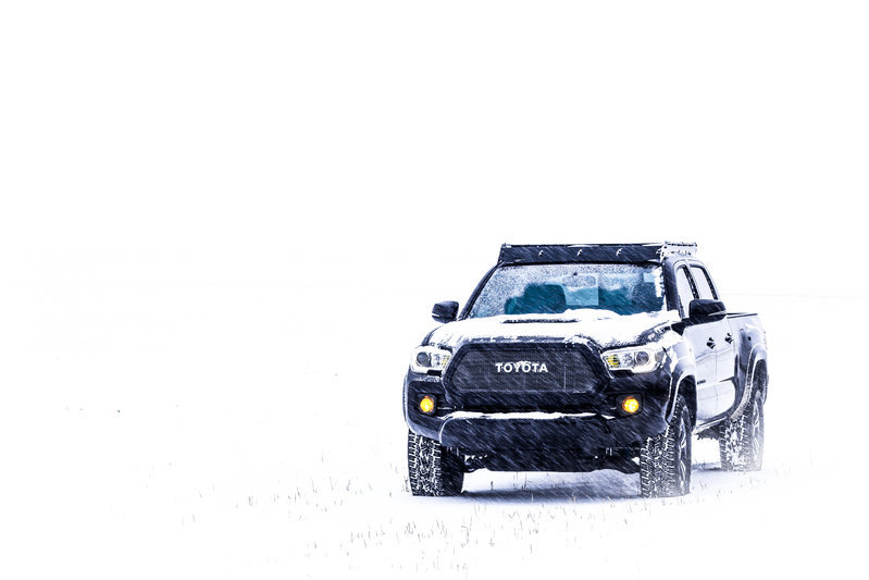SNOW TACO 2 (1 of 1).jpg