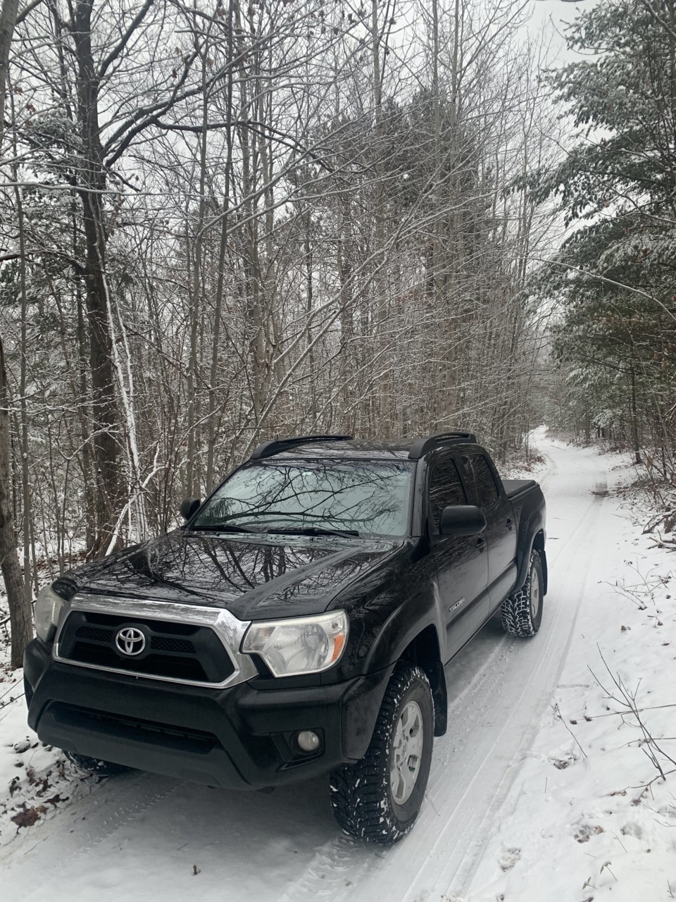 Snow Taco 2.jpg
