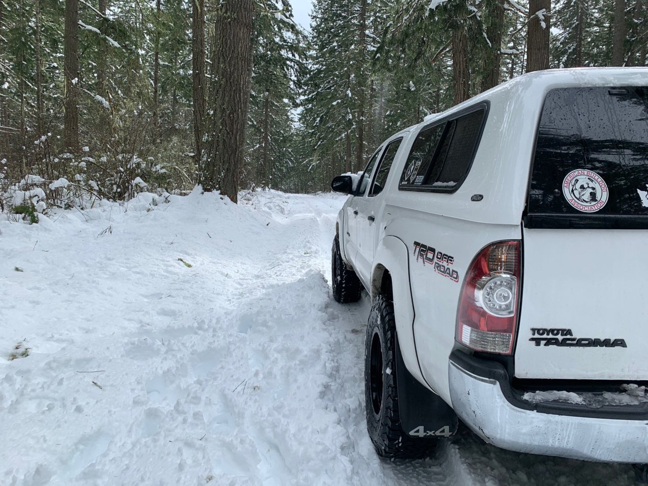 Snow Taco 2_13_21 _1.jpg