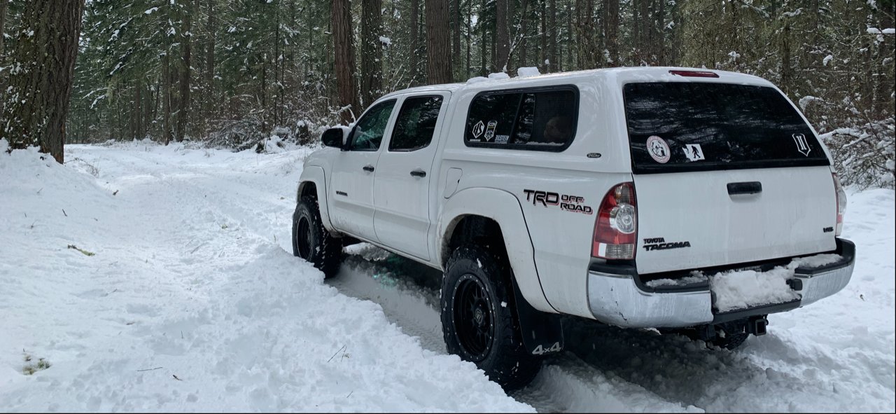 Snow Taco 2_13_21 _2.jpg